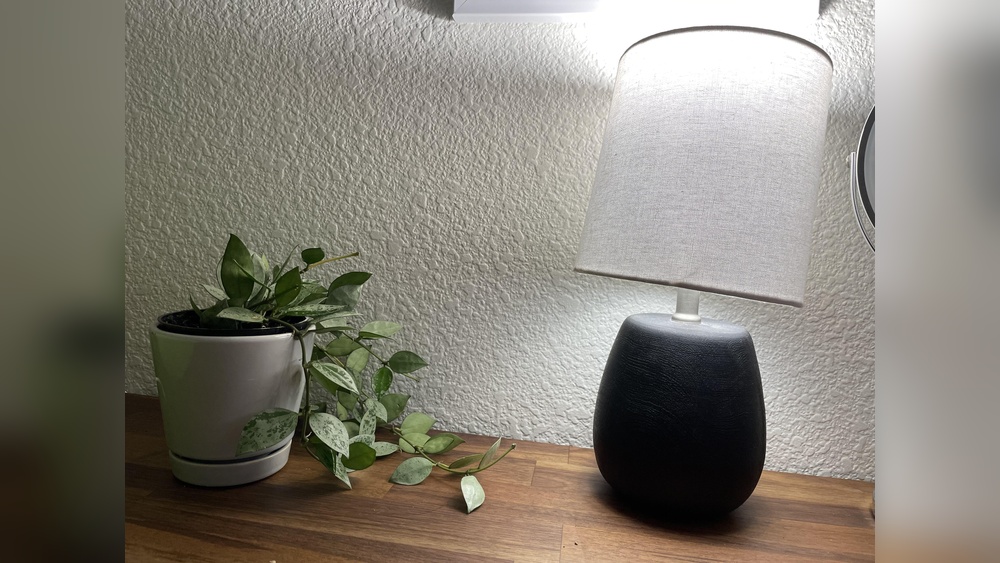 Can A Desk Lamp Help Plants Grow