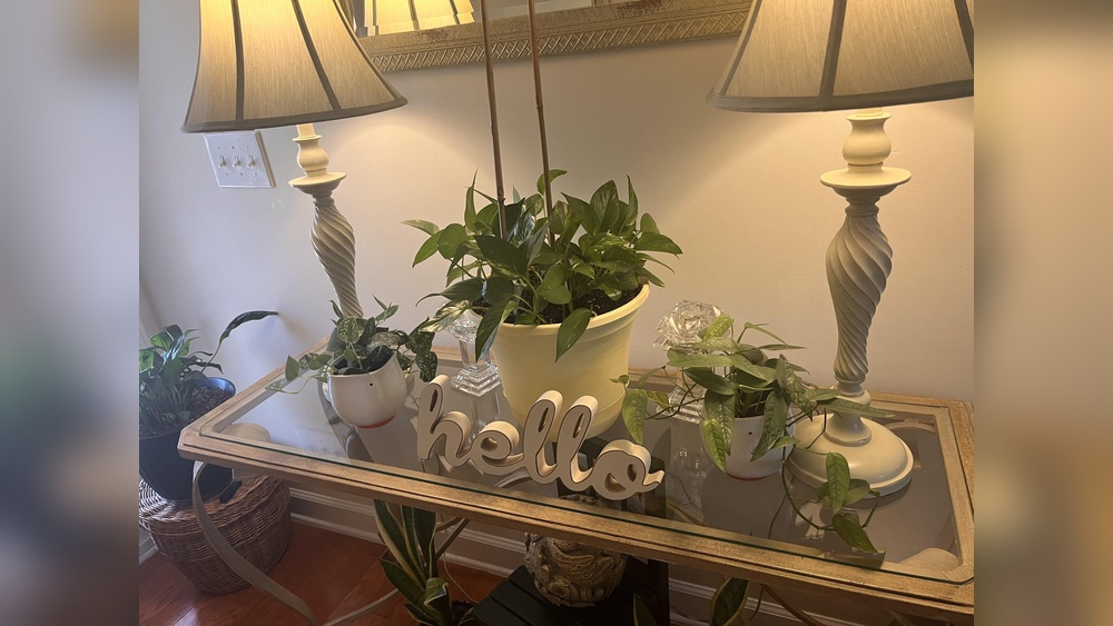 Can Smart Bulbs Be Used As Grow Lights