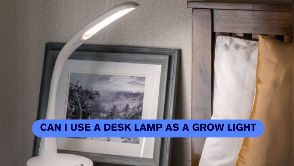 Does A Desk Lamp Help Plants Grow