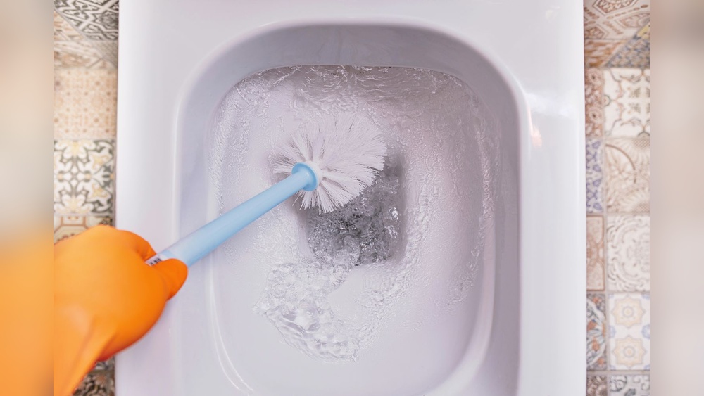 How Do You Clean A Toilet Brush
