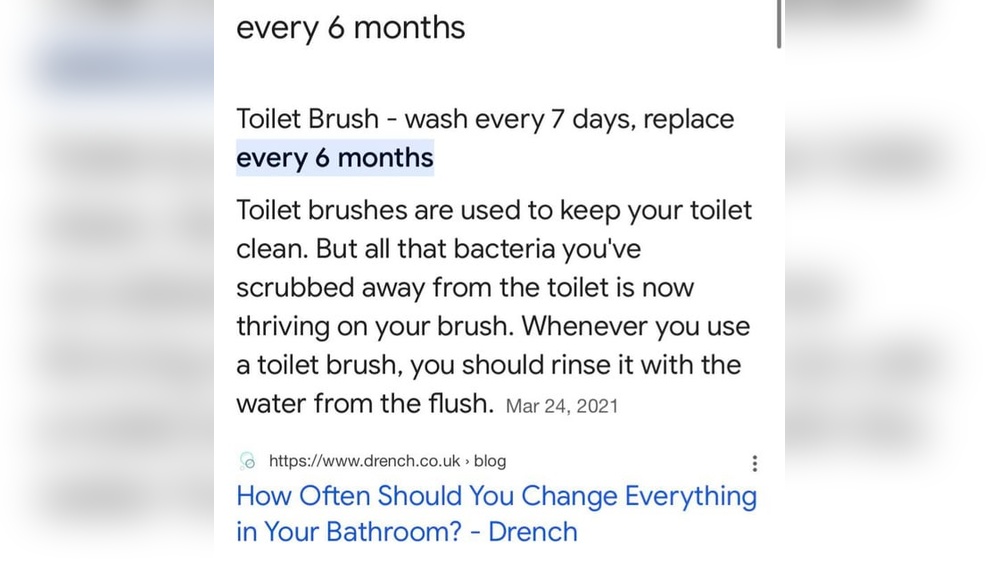 How Often Should You Replace Toilet Brush