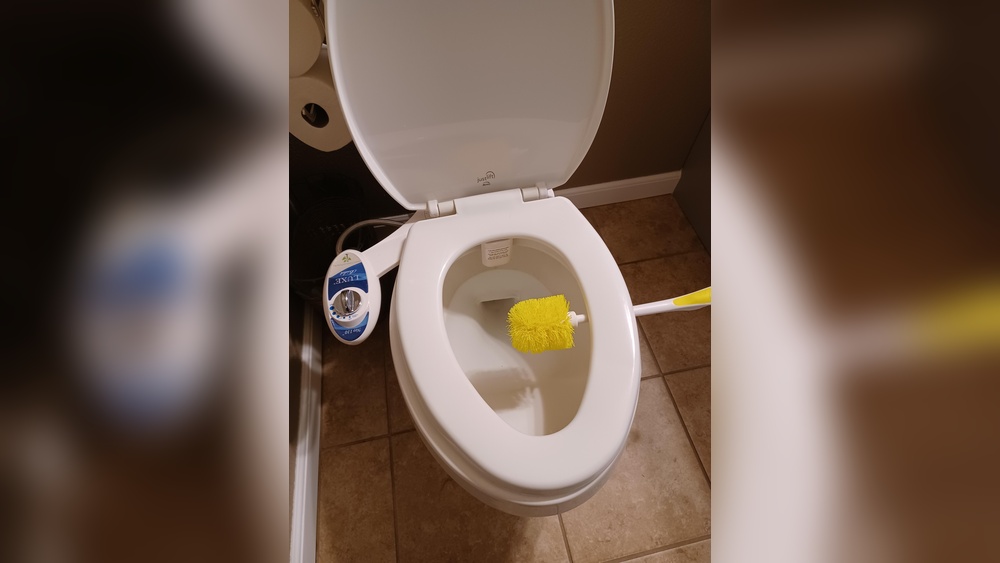How To Clean A Toilet Brush With Poop On It