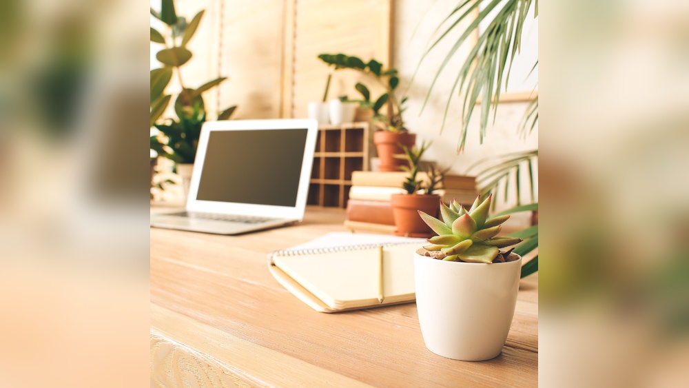 How To Decorate Office Desk With Plants