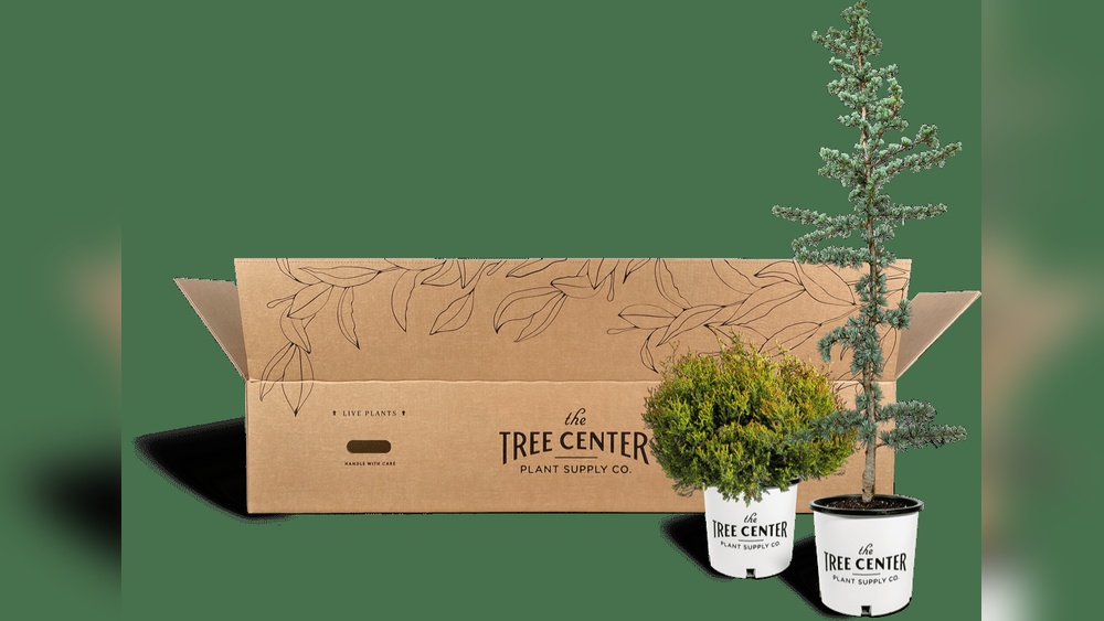 Where Is The Tree Center Plant Supply Company Located