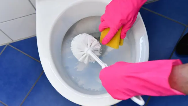 How Often to Replace a Toilet Brush